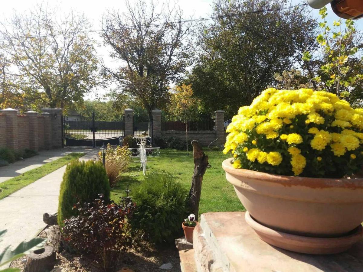 Rita Apartman & Studio Зренянин Экстерьер фото